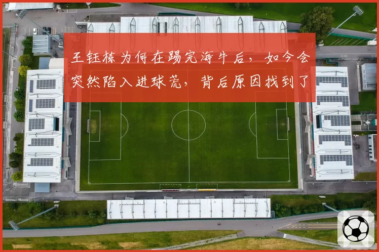 王钰栋为何在踢完海牛后，如今会突然陷入进球荒，背后原因找到了