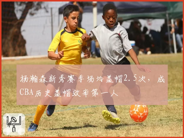 杨瀚森新秀赛季场均盖帽2.5次，成CBA历史盖帽效率第一人