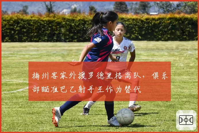 梅州客家外援罗德里格离队，俱乐部瞄准巴乙射手王作为替代