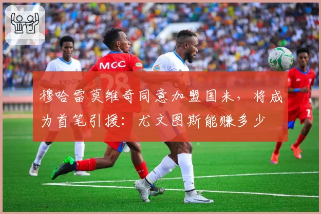 穆哈雷莫维奇同意加盟国米，将成为首笔引援：尤文图斯能赚多少